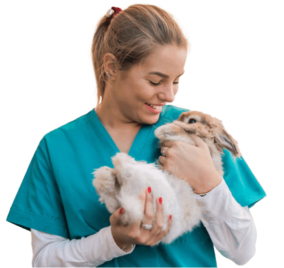 Cursos de Veterinaria: Especialízate en lo(s) que más te gusta(n)