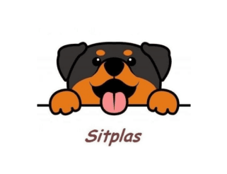 logo_sitplas_color_245px