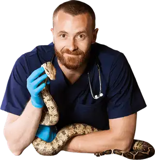 Animales Exóticos y Salvajes online