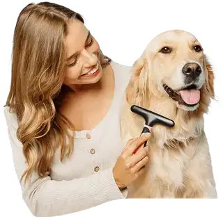 Peluquería Canina y Felina online