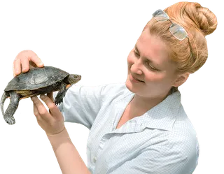 Herpetología online: Especialista en Anfibios y Reptiles