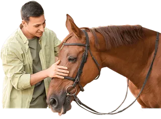 Intervenciones Asistidas con Animales online