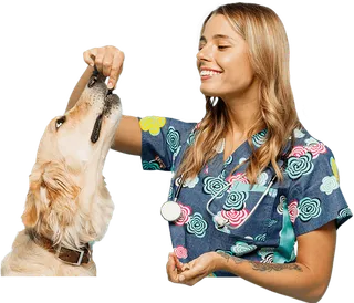 Nutrición Animal: Canina, Felina y Equina online