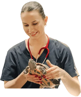 Técnico en Animales Exóticos online